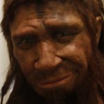 Ancient Neanderthal